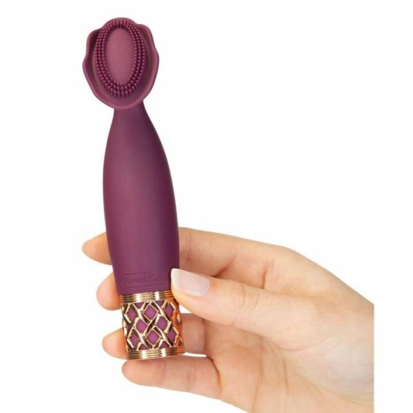 Mini & Bullet Vibrators | Pillow Talk Secrets Passion Mini Massager