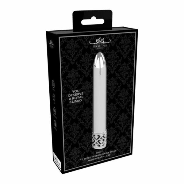 Mini & Bullet Vibrators | Royal Gems Shiny Rechargeable Bullet Silver