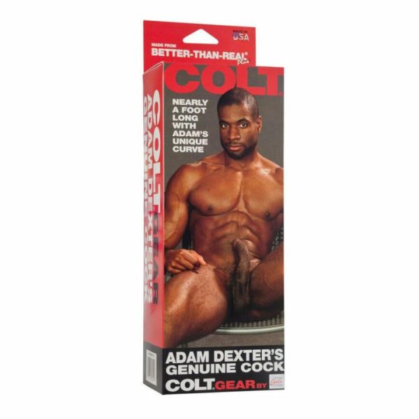 Realistic Dildos | COLT Adam Dexters Realistic Cock Dildo