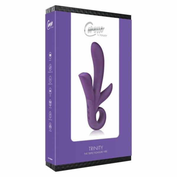 Duo Penetration Toys | ToyJoy Trinity Triple Pleasure Vibrator Purple